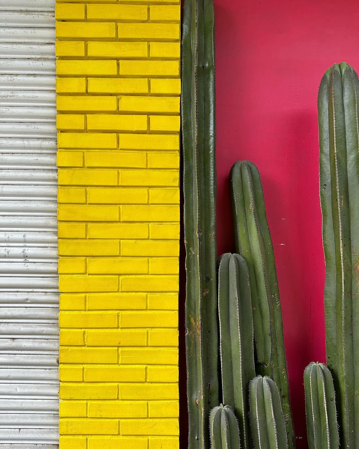 Photography by Ben Rowe — 4