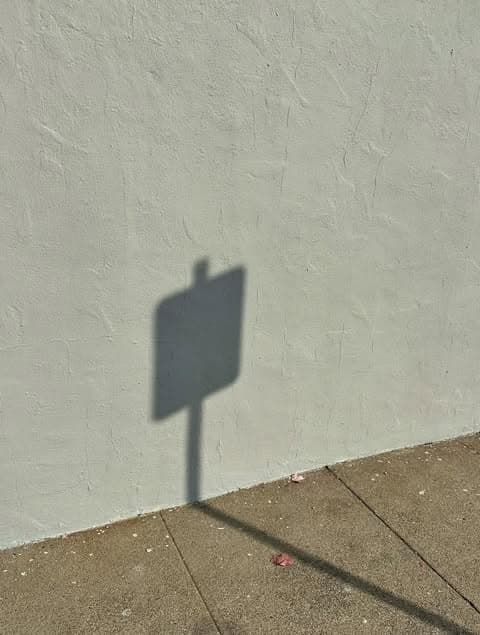 Photography by Ben Rowe — 5